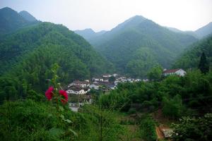 均良村[浙江省衢州市七里鄉均良村]