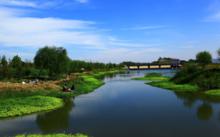 刁鎮漯河濕地公園