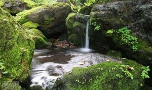 香爐山風景區