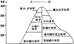 垂直帶性分異