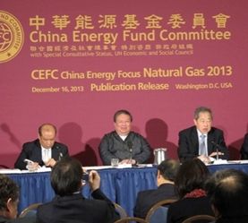 《中國能源焦點:天然氣2013》