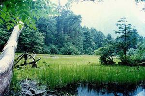 貢嘎山海螺溝