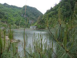 仁合村[黑龍江省伊春市嘉蔭縣下轄村]