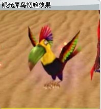 銀光犀鳥