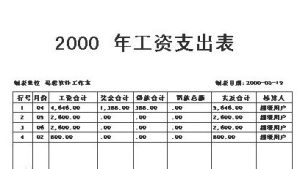 工資表案例