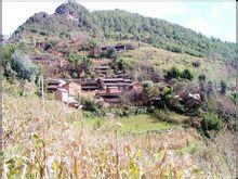 岩子頭村[雲南彌渡縣牛街鄉下轄村]