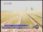 CCTV《新聞聯播》報導馮博士主持的海水灌溉蔬菜項目