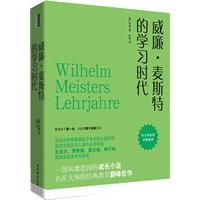 《威廉·麥斯特的學習時代》