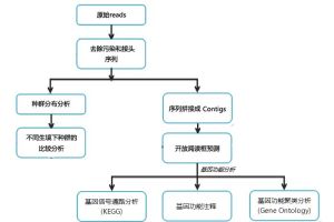 環境基因組