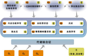 代謝綜合徵形成圖