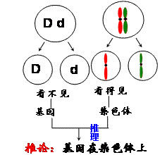 假說演繹法