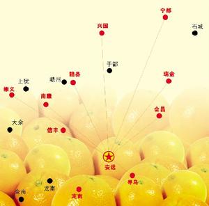 贛南臍橙交易網10大物流網點