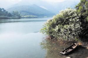 同樂大山景色