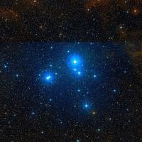 IC 2391