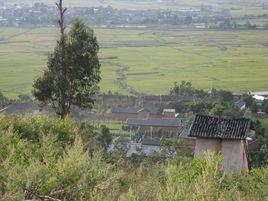 華龍村[大理劍川縣沙溪鎮下轄村]