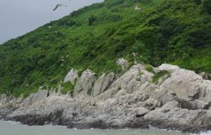 洞頭鳥島