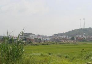 大村村[廣東梅州市興寧市新圩鎮下轄村]