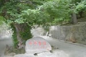 冠世榴園 