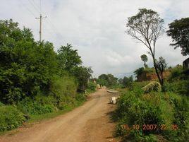 豆金河村