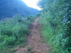 煉山村-進村道路