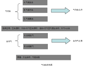 如意牌氣血雙補丸