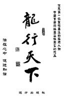 龍行天下2008