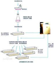 生物選修三知識點總結