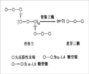 普魯蘭酶