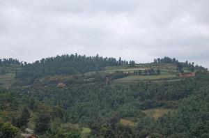 上雷打石村