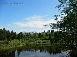 田家鎮[重慶市潼南區田家鎮]