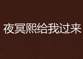 夜冥熙給我過來