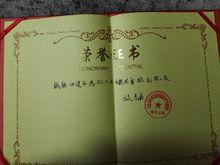 高嘉[上海書法家]