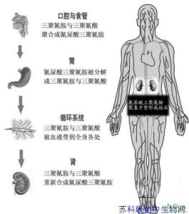 生物濃縮