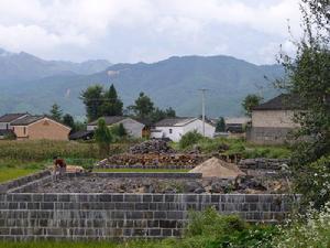 張家自然村[雲南保山騰衝縣固東鎮甸苴村委會張家自然村]