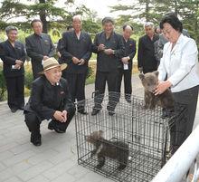 金正恩觀看中央動物園繁殖的小棕熊