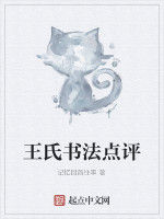 王氏書法點評