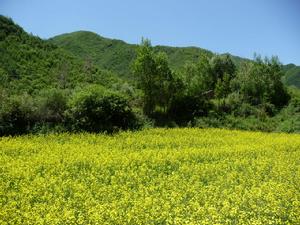 臨夏回族自治州