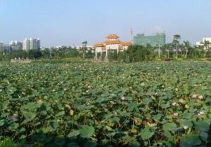 得能湖公園