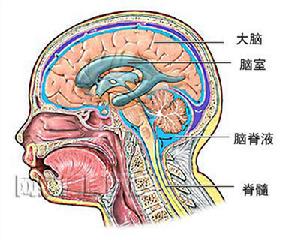 利維黴素