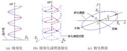 電磁波極化