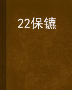 22保鑣