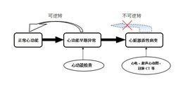 無創心功能技術