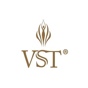 vst[品牌]