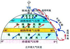 費雷爾環流圈