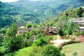 民生村[江蘇鹽都區大岡鎮下轄村]