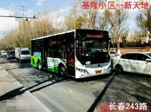 長春243路—車型2