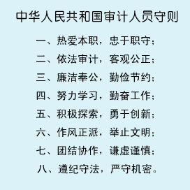 審計假設