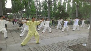 奧林匹克森林公園教太極拳