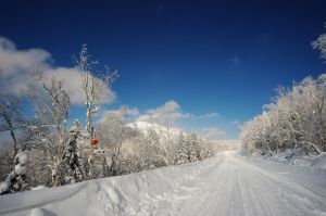 亞雪公路