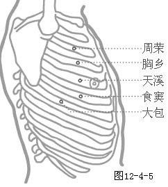 肋間隙